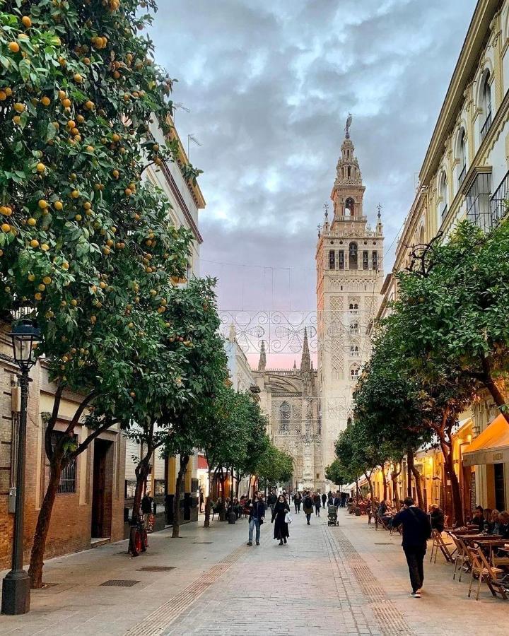 Suites Las Setas & Bicicletas Electricas Gratis Sevilla Bagian luar foto