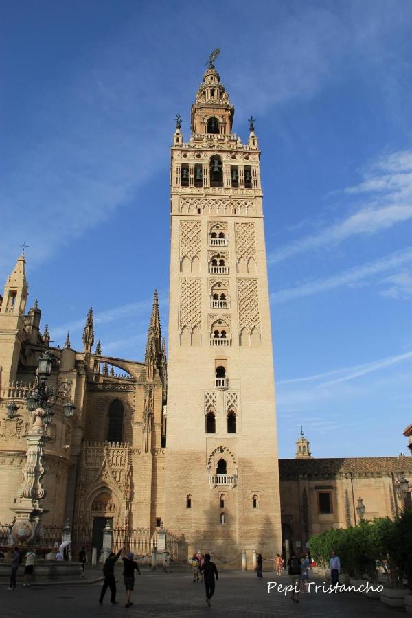 Suites Las Setas & Bicicletas Electricas Gratis Sevilla Bagian luar foto