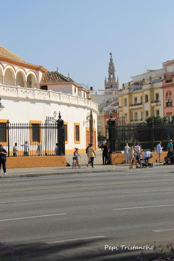 Suites Las Setas & Bicicletas Electricas Gratis Sevilla Bagian luar foto